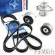 BOSCH Zahnriemen + Keilrippenriemen + Marken Wapu Rollen Opel Astra G H J Corsa